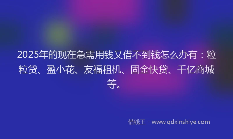 2025年的现在急需用钱又借不到钱怎么办有：粒粒贷、盈小花、友福租机、固金快贷、千亿商城等。