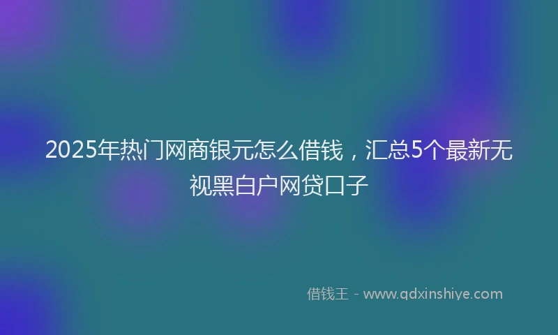 2025年热门网商银元怎么借钱，汇总5个最新无视黑白户网贷口子