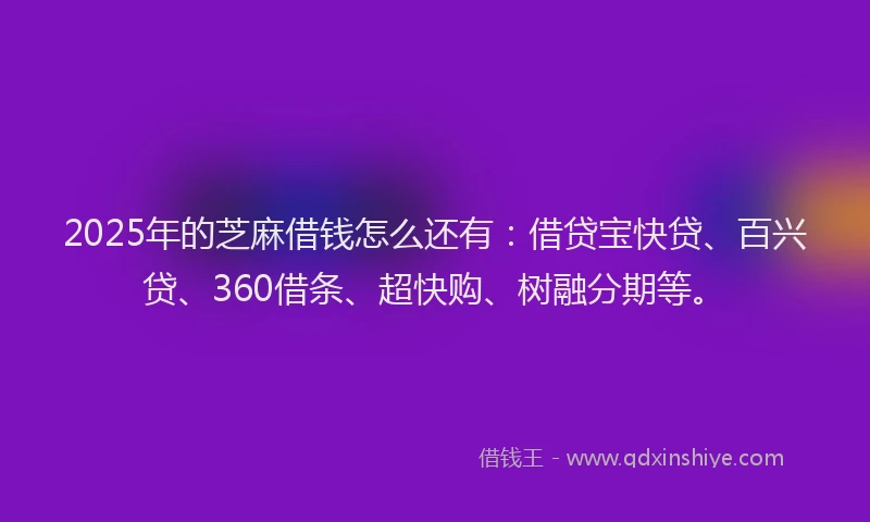 2025年的芝麻借钱怎么还有：借贷宝快贷、百兴贷、360借条、超快购、树融分期等。
