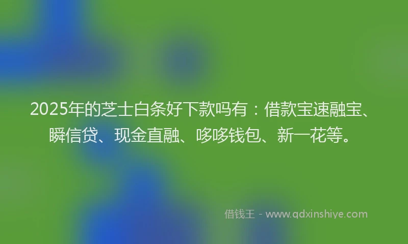 2025年的芝士白条好下款吗有:借款宝速融宝、瞬信贷、现金直融、哆哆钱包、新一花等。