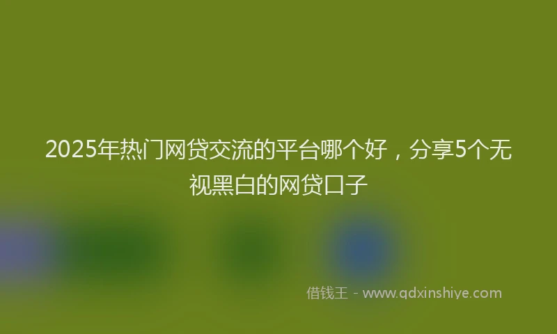 2025年热门网贷交流的平台哪个好,分享5个无视黑白的网贷口子