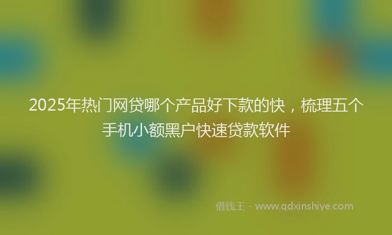 2025年热门网贷哪个产品好下款的快，梳理五个手机小额黑户快速贷款软件