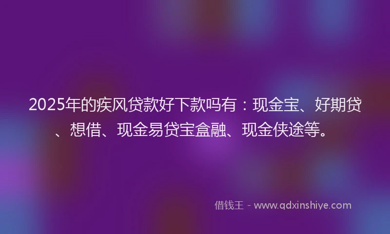 2025年的疾风贷款好下款吗有：现金宝、好期贷、想借、现金易贷宝盒融、现金侠途等。