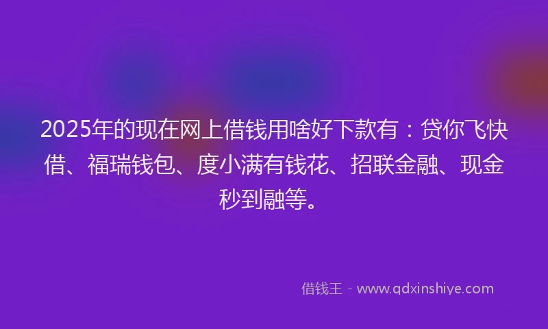 2025年的现在网上借钱用啥好下款有：贷你飞快借、福瑞钱包、度小满有钱花、招联金融、现金秒到融等。