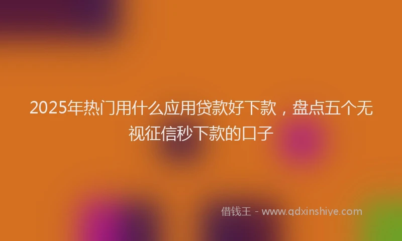 2025年热门用什么应用贷款好下款，盘点五个无视征信秒下款的口子