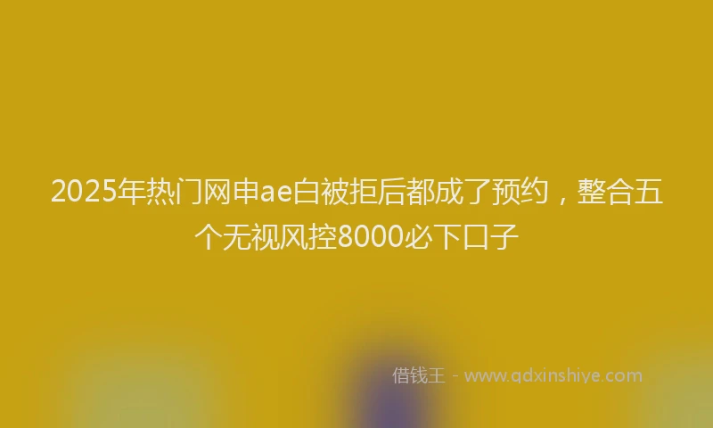 2025年热门网申ae白被拒后都成了预约，整合五个无视风控8000必下口子