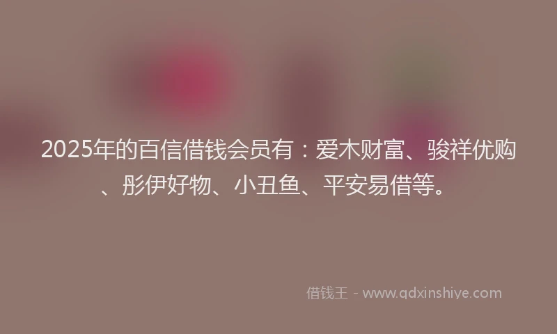 2025年的百信借钱会员有：爱木财富、骏祥优购、彤伊好物、小丑鱼、平安易借等。