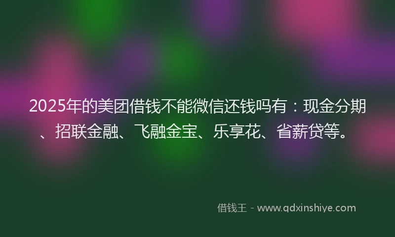 2025年的美团借钱不能微信还钱吗有：现金分期、招联金融、飞融金宝、乐享花、省薪贷等。