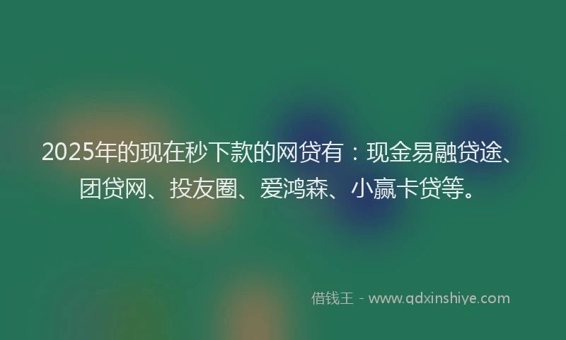 2025年的现在秒下款的网贷有：现金易融贷途、团贷网、投友圈、爱鸿森、小赢卡贷等。