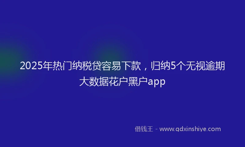 2025年热门纳税贷容易下款,归纳5个无视逾期大数据花户黑户app