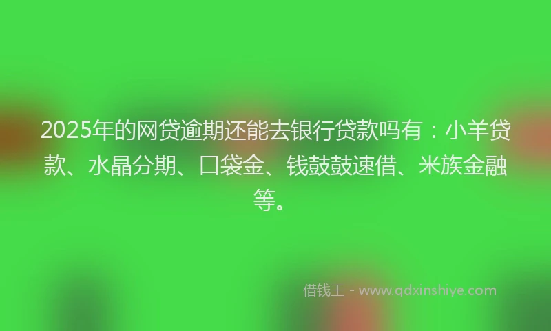 2025年的网贷逾期还能去银行贷款吗有：小羊贷款、水晶分期、口袋金、钱鼓鼓速借、米族金融等。