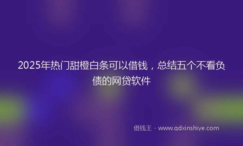 2025年热门甜橙白条可以借钱，总结五个不看负债的网贷软件