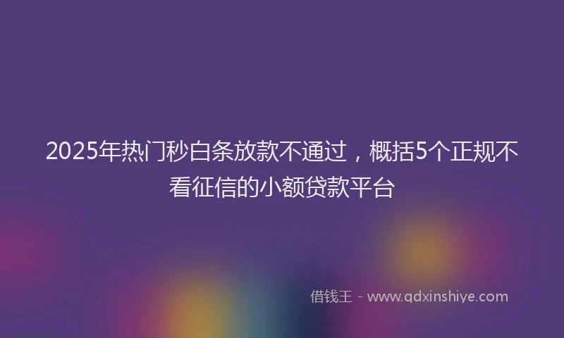 2025年热门秒白条放款不通过,概括5个正规不看征信的小额贷款平台