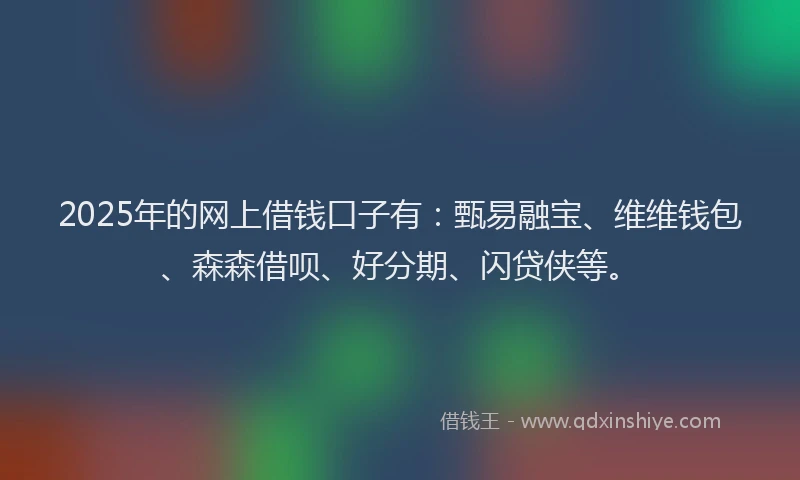 2025年的网上借钱口子有：甄易融宝、维维钱包、森森借呗、好分期、闪贷侠等。