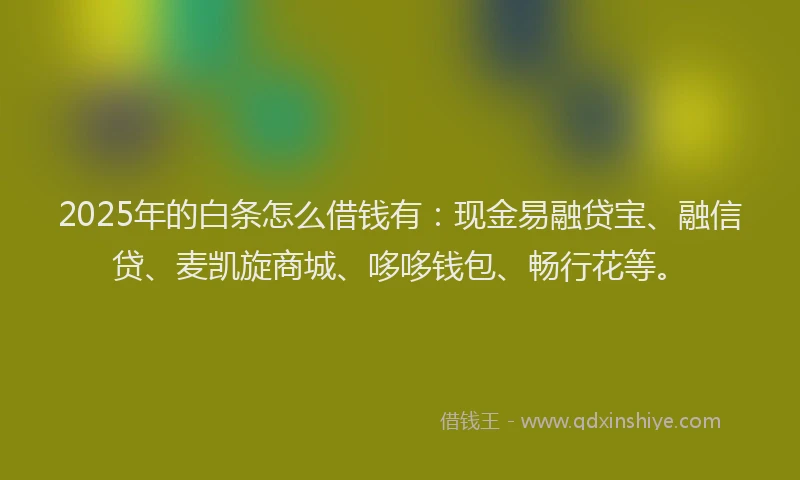 2025年的白条怎么借钱有：现金易融贷宝、融信贷、麦凯旋商城、哆哆钱包、畅行花等。