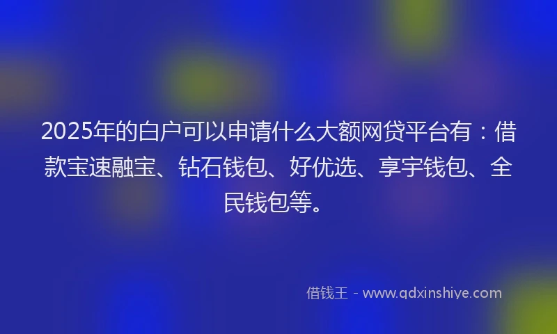 2025年的白户可以申请什么大额网贷平台有：借款宝速融宝、钻石钱包、好优选、享宇钱包、全民钱包等。