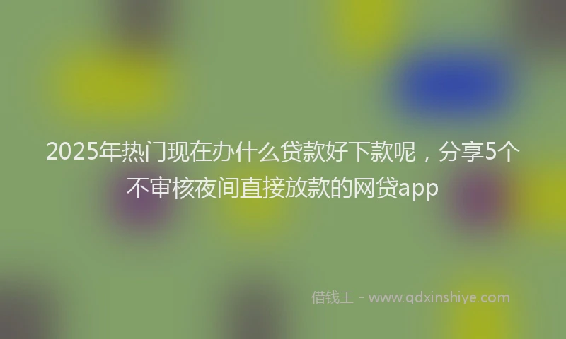 2025年热门现在办什么贷款好下款呢，分享5个不审核夜间直接放款的网贷app