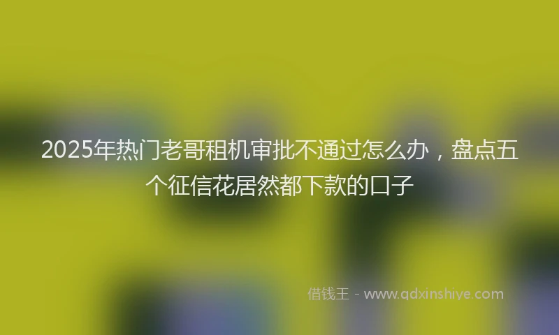 2025年热门老哥租机审批不通过怎么办，盘点五个征信花居然都下款的口子