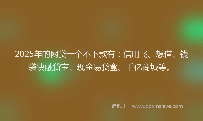 2025年的网贷一个不下款有：信用飞、想借、钱袋快融贷宝、现金易贷盒、千亿商城等。