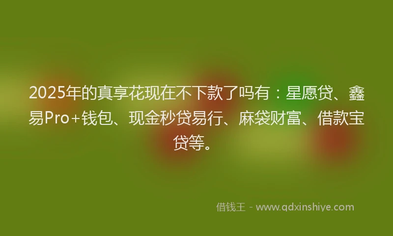 2025年的真享花现在不下款了吗有：星愿贷、鑫易Pro+钱包、现金秒贷易行、麻袋财富、借款宝贷等。
