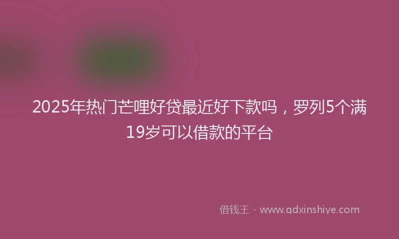 2025年热门芒哩好贷最近好下款吗，罗列5个满19岁可以借款的平台