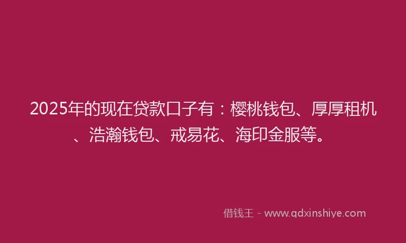 2025年的现在贷款口子有：樱桃钱包、厚厚租机、浩瀚钱包、戒易花、海印金服等。