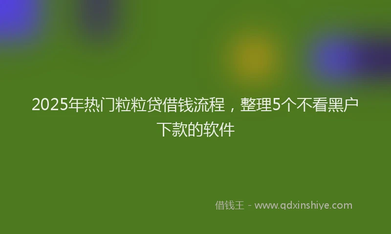 2025年热门粒粒贷借钱流程，整理5个不看黑户下款的软件