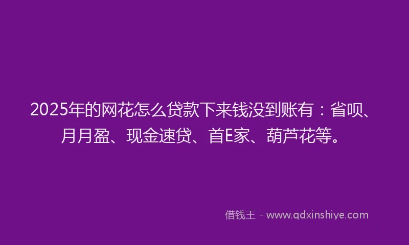 2025年的网花怎么贷款下来钱没到账有：省呗、月月盈、现金速贷、首E家、葫芦花等。