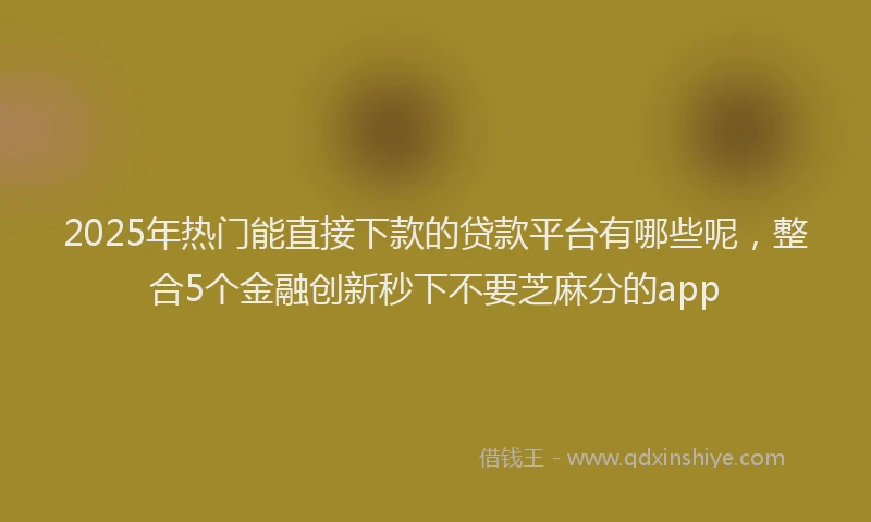 2025年热门能直接下款的贷款平台有哪些呢,整合5个金融创新秒下不要芝麻分的app