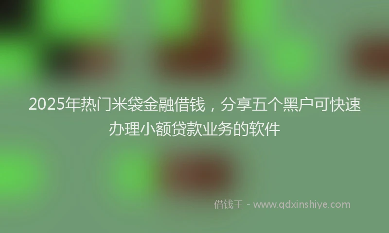 2025年热门米袋金融借钱，分享五个黑户可快速办理小额贷款业务的软件