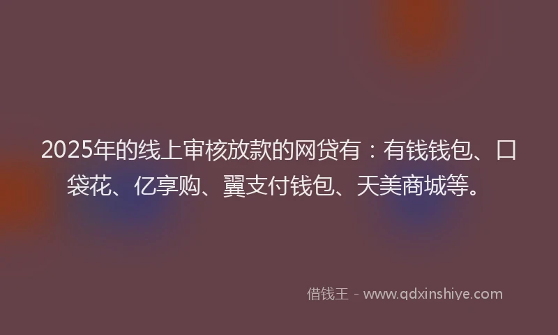 2025年的线上审核放款的网贷有：有钱钱包、口袋花、亿享购、翼支付钱包、天美商城等。