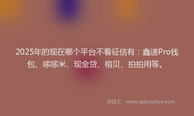 2025年的现在哪个平台不看征信有:鑫速Pro钱包、哆哆米、现金贷、榕贝、拍拍用等。