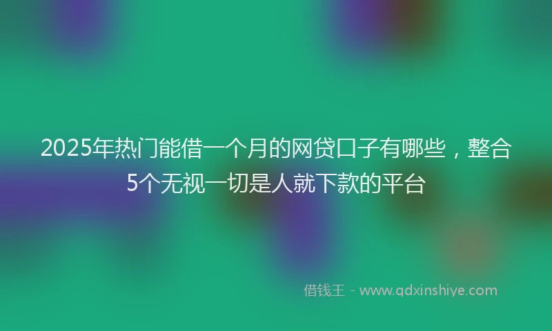 2025年热门能借一个月的网贷口子有哪些，整合5个无视一切是人就下款的平台
