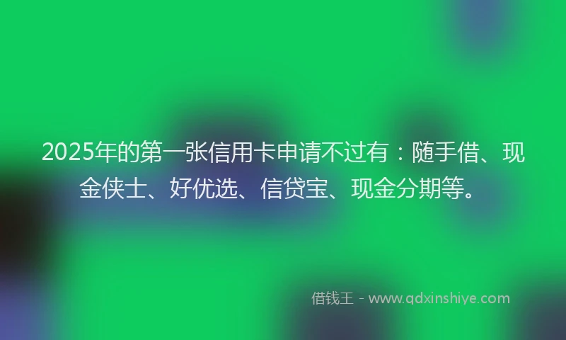 2025年的第一张信用卡申请不过有：随手借、现金侠士、好优选、信贷宝、现金分期等。