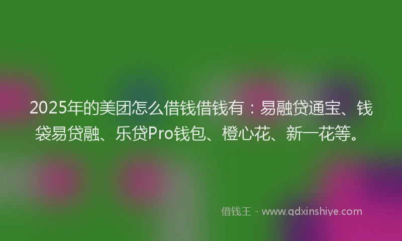 2025年的美团怎么借钱借钱有：易融贷通宝、钱袋易贷融、乐贷Pro钱包、橙心花、新一花等。