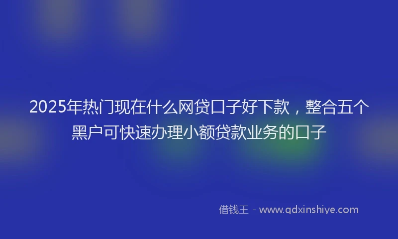 2025年热门现在什么网贷口子好下款，整合五个黑户可快速办理小额贷款业务的口子