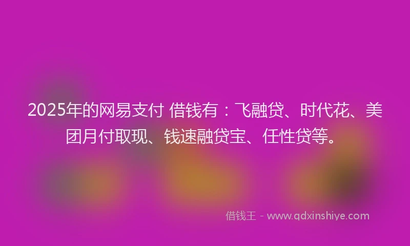 2025年的网易支付 借钱有:飞融贷、时代花、美团月付取现、钱速融贷宝、任性贷等。