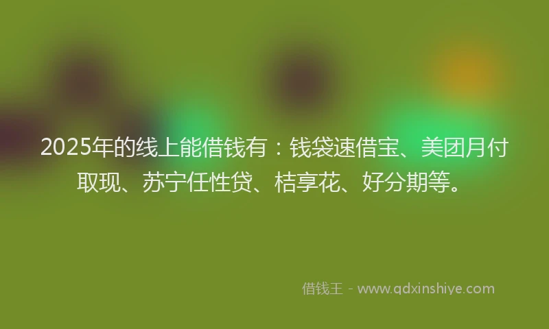 2025年的线上能借钱有：钱袋速借宝、美团月付取现、苏宁任性贷、桔享花、好分期等。