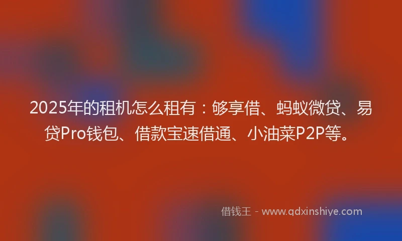 2025年的租机怎么租有：够享借、蚂蚁微贷、易贷Pro钱包、借款宝速借通、小油菜P2P等。