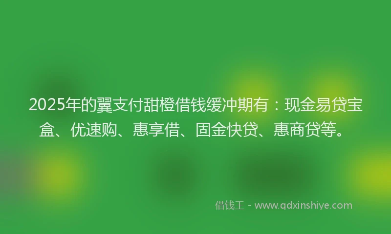 2025年的翼支付甜橙借钱缓冲期有:现金易贷宝盒、优速购、惠享借、固金快贷、惠商贷等。