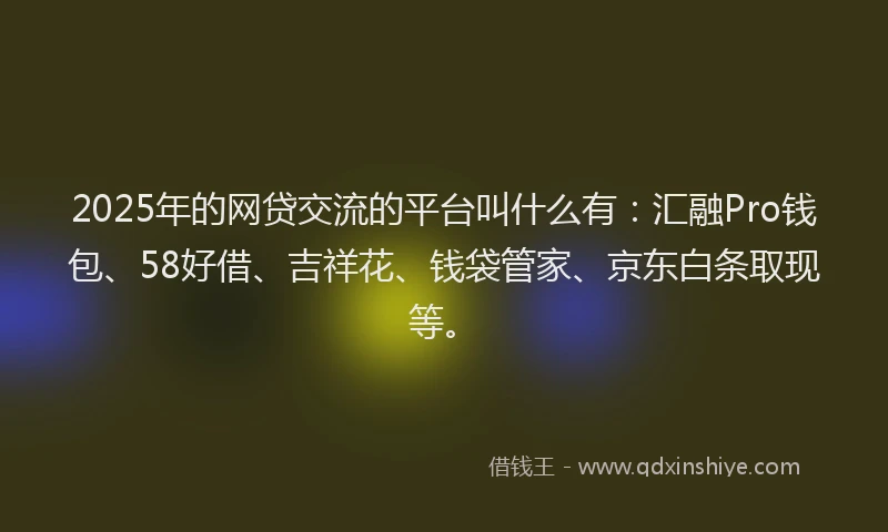 2025年的网贷交流的平台叫什么有：汇融Pro钱包、58好借、吉祥花、钱袋管家、京东白条取现等。