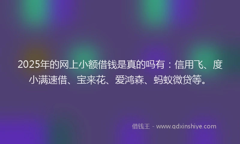 2025年的网上小额借钱是真的吗有：信用飞、度小满速借、宝来花、爱鸿森、蚂蚁微贷等。