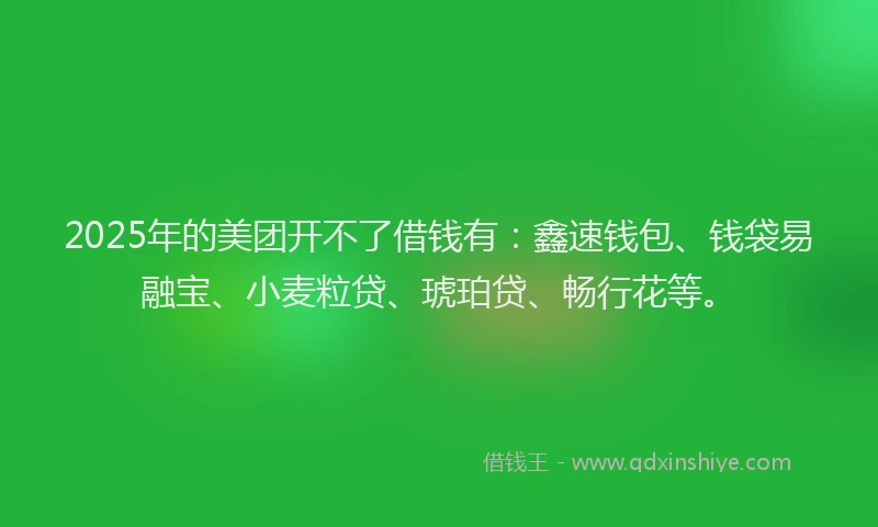 2025年的美团开不了借钱有：鑫速钱包、钱袋易融宝、小麦粒贷、琥珀贷、畅行花等。