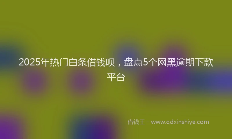2025年热门白条借钱呗，盘点5个网黑逾期下款平台