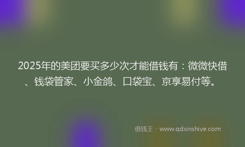 2025年的美团要买多少次才能借钱有：微微快借、钱袋管家、小金鸽、口袋宝、京享易付等。