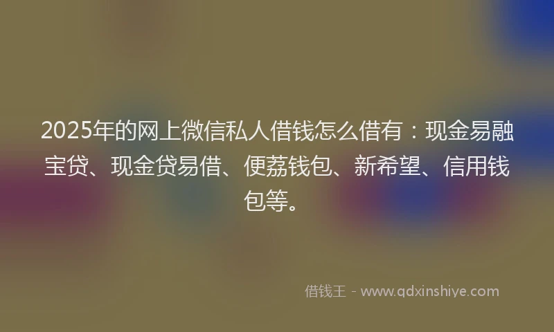 2025年的网上微信私人借钱怎么借有：现金易融宝贷、现金贷易借、便荔钱包、新希望、信用钱包等。