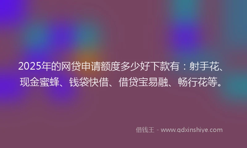 2025年的网贷申请额度多少好下款有：射手花、现金蜜蜂、钱袋快借、借贷宝易融、畅行花等。