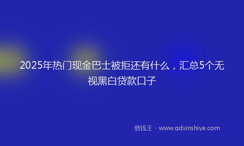 2025年热门现金巴士被拒还有什么，汇总5个无视黑白贷款口子