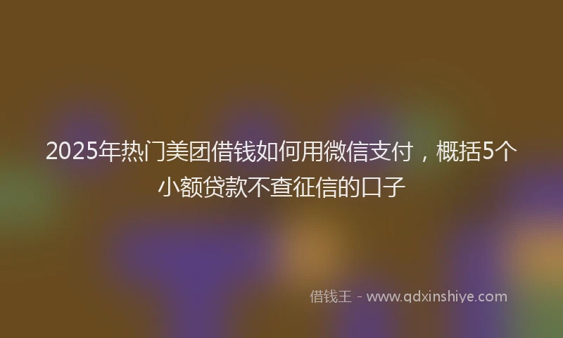 2025年热门美团借钱如何用微信支付，概括5个小额贷款不查征信的口子