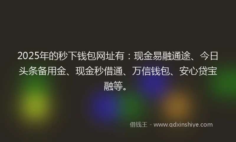 2025年的秒下钱包网址有：现金易融通途、今日头条备用金、现金秒借通、万信钱包、安心贷宝融等。